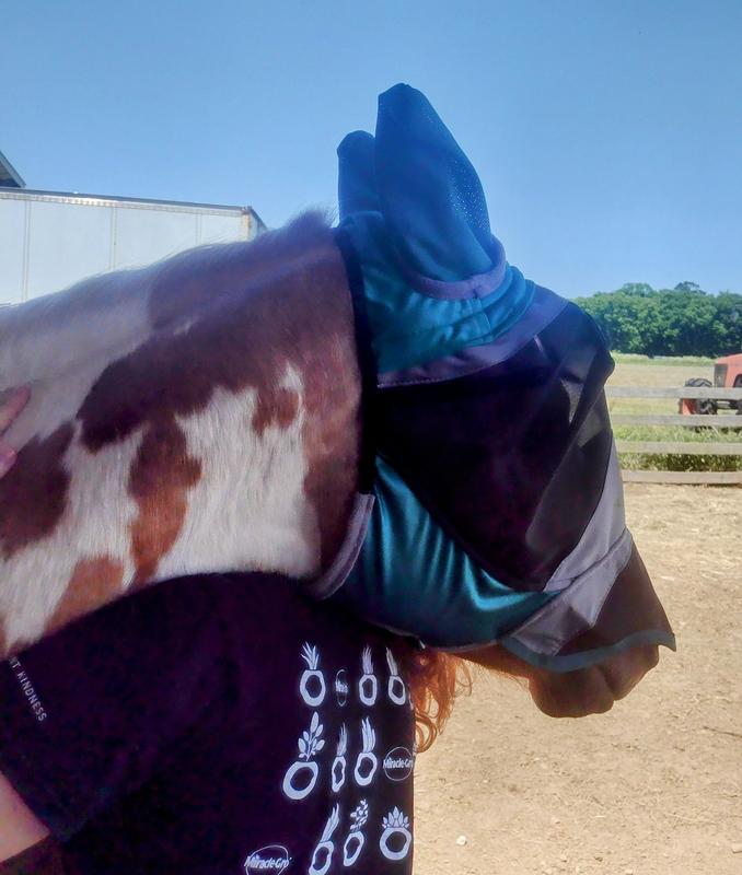 Hay! This fly mask is AWESOME!