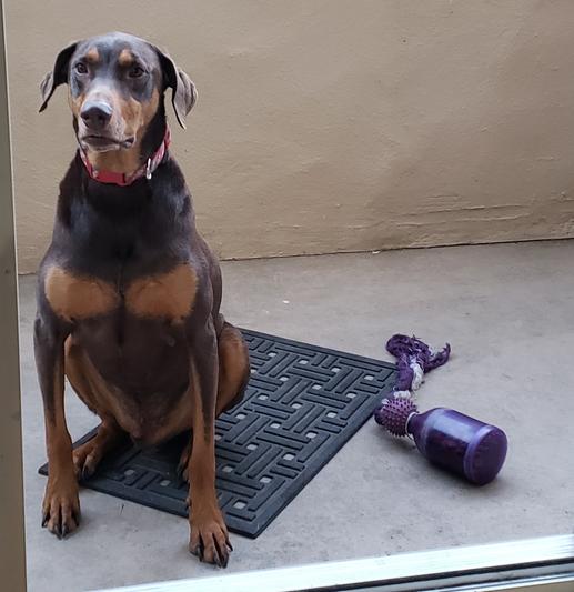 Posing for his photo with his new toy