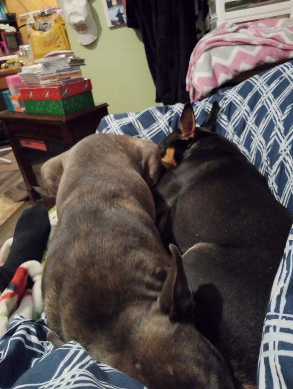 After a week using product