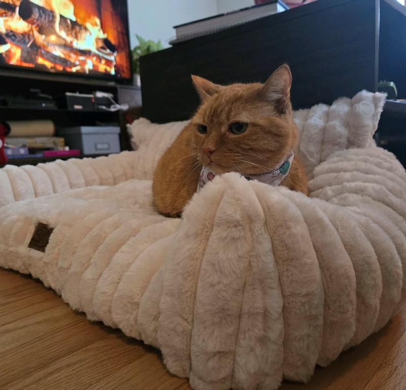 A cute cat in a fluffy couch with a fireplace in the background