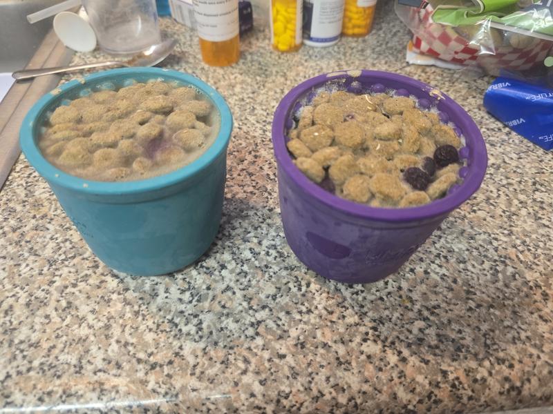 Yoggie pots for the win!