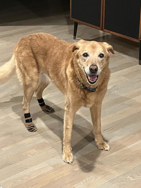 Bella loves her anti-slip socks!