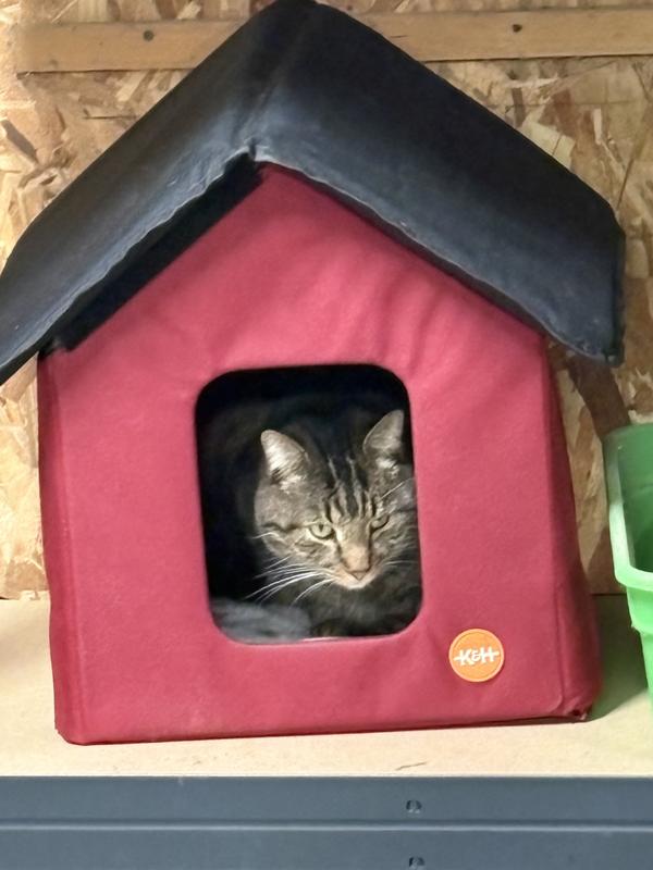 I’ve since adjusted the roof so the Velcro is completely attached. This guy loves his new digs!