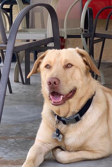 Happy guy!