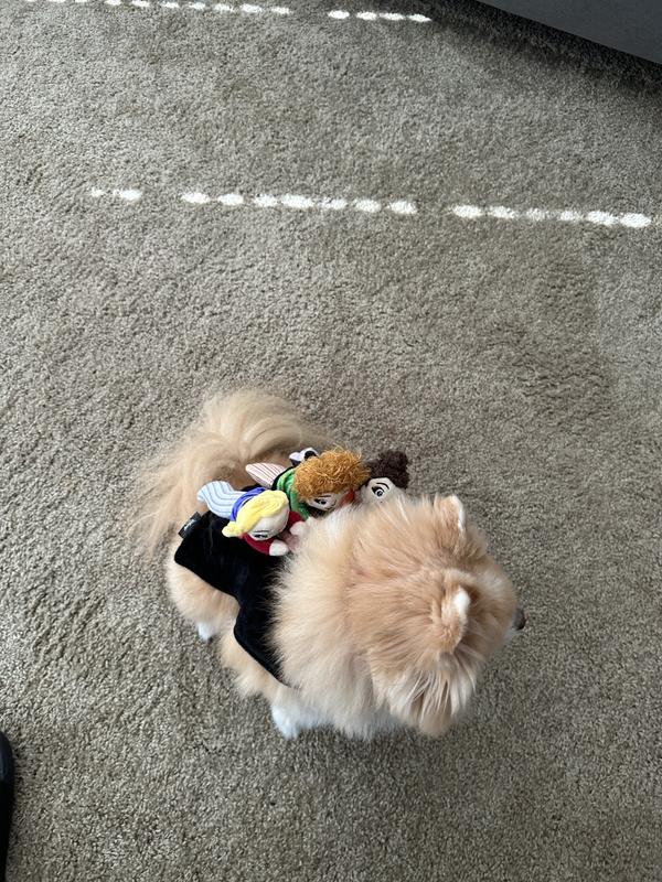 DISNEY Hocus Pocus RideOn Sanderson Sisters Dog & Cat Costume, Small