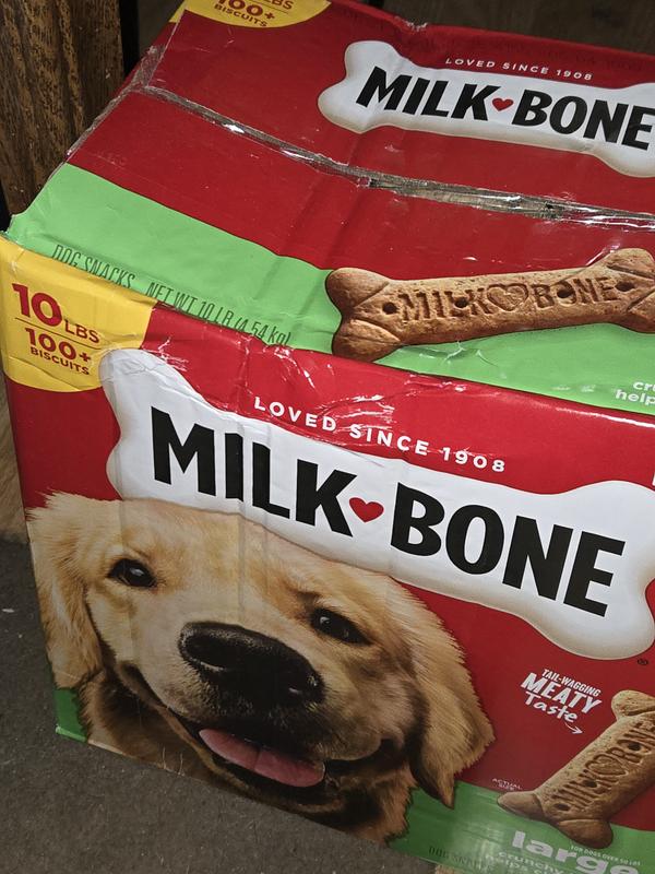 Milk bone large 10 lb best sale