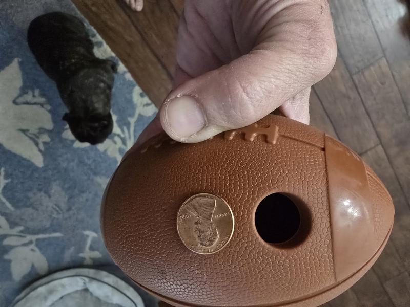 Treat insert and only access to cleaning