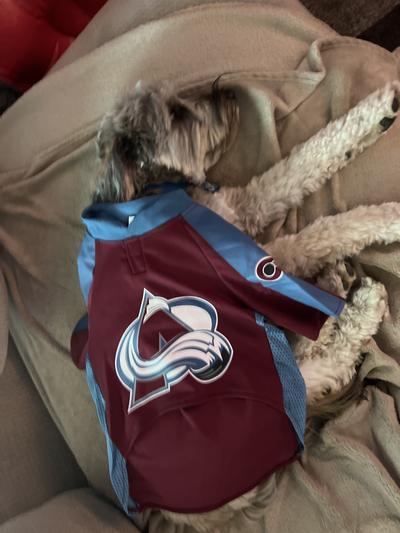 Bauer chillin in Avs Jersey