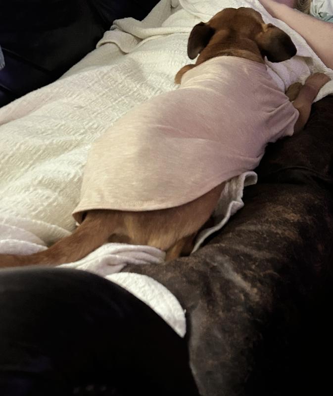 Size medium  perfect size!