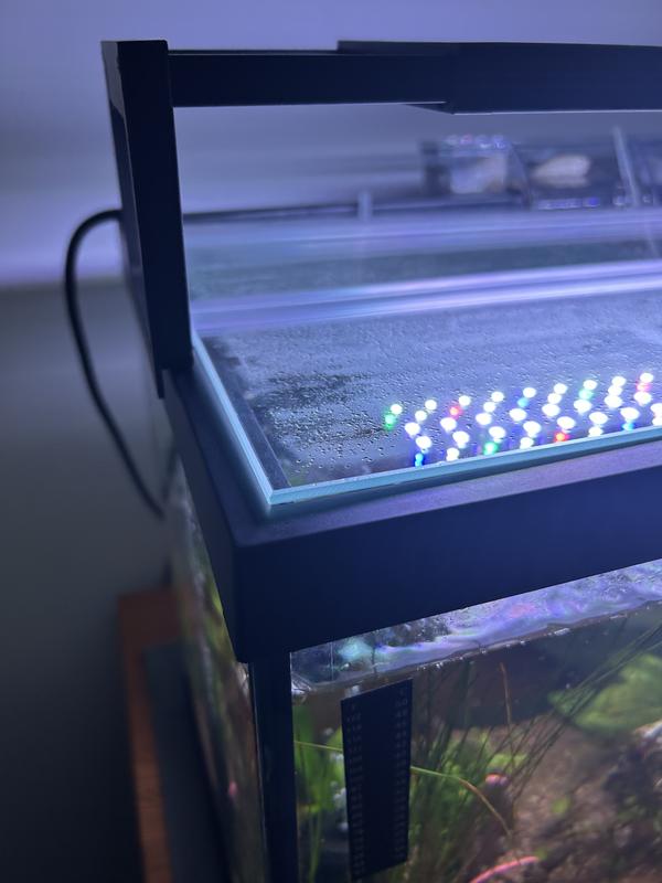 Left front. A little too long.