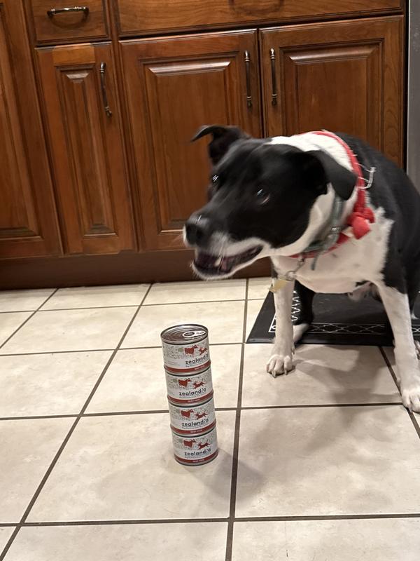 Branden ready to eat !