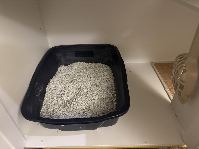 This is large litter box.  It could easily fit a xl or Jumbo