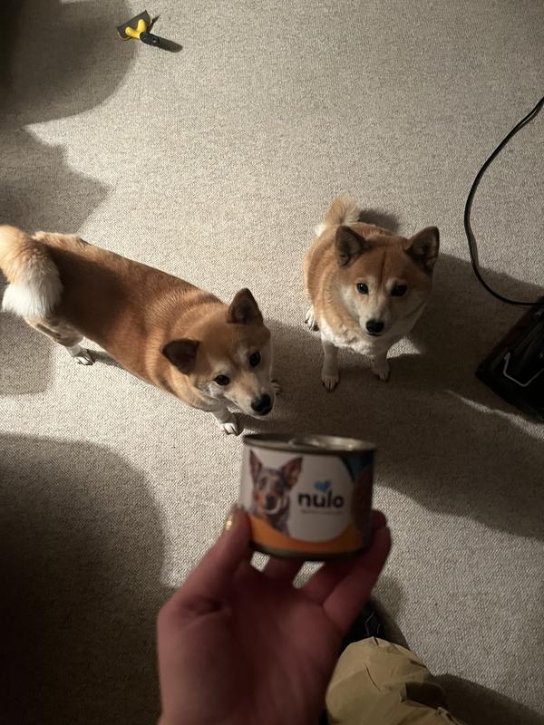 Eagerly awaiting dinner!