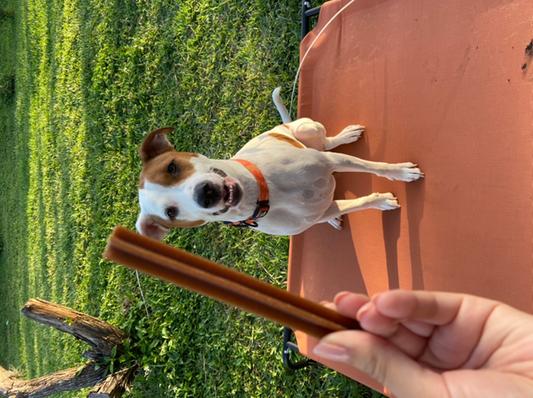 Happy Bobo!