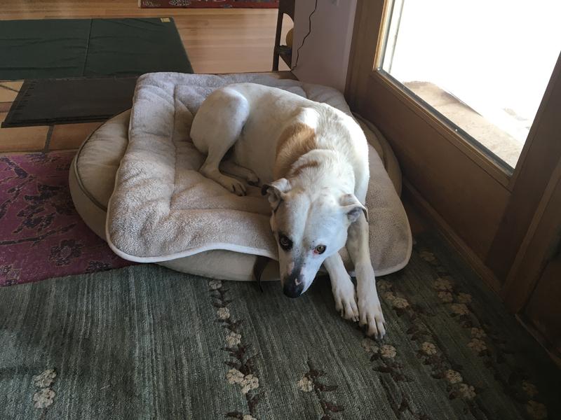 Still growing new hair in springtime!