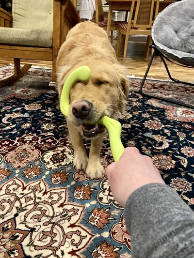 Strong tug of war--no problem!