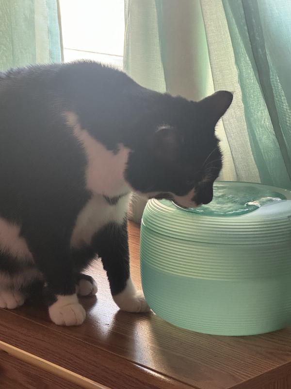 GROOVYPETS Translucent Pet Drinking Water Fountain Waterer