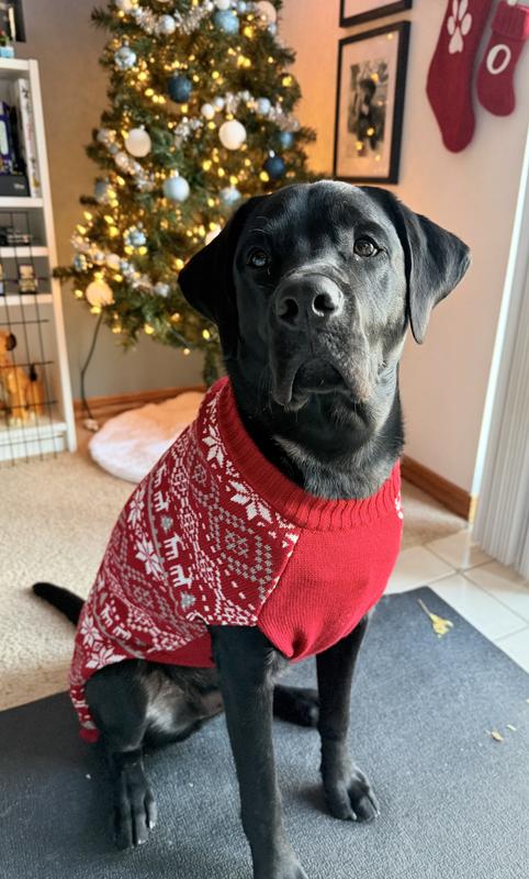 Holiday Chewy Christmas Sweater Out Of Stock FRISCO Reindeer Fair