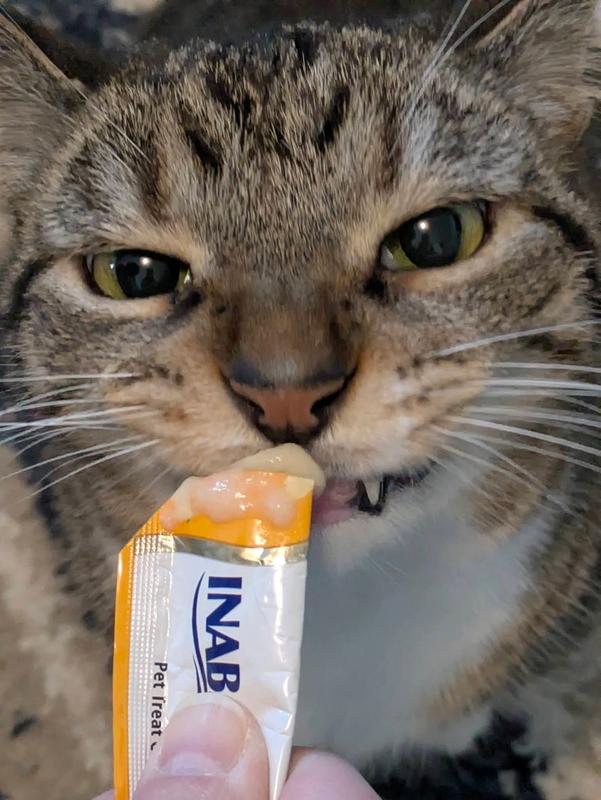 Savoring each moment of his treat