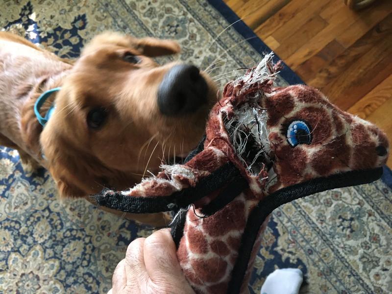 TUFFY'S Zoo Giraffe Plush Dog Toy