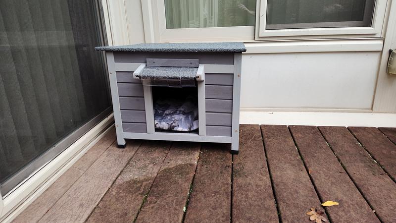 This is Henry's house. He is a feral cat