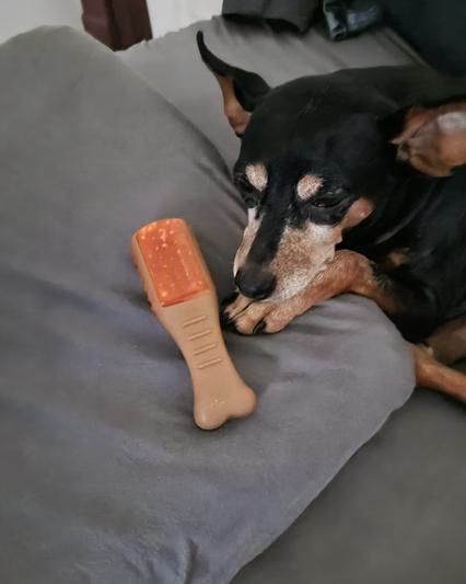 Hartz® Chew 'n Clean® Drumstick Dog Toy - Small