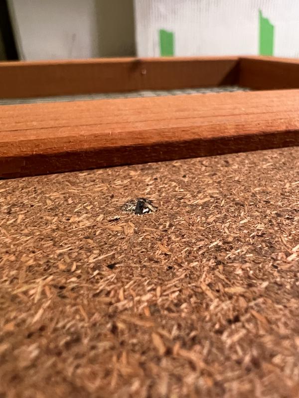 1 nail all the way through