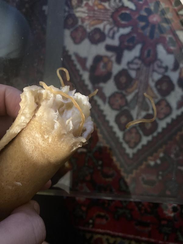 Bits of rubberband we removed from inside the chew after our dog started pulling them out mid-chew.