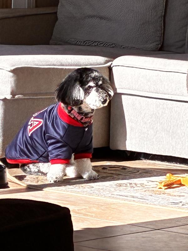 Pup in the sun!