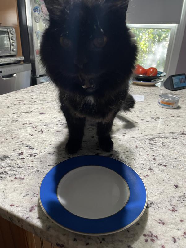 Please may I have another?