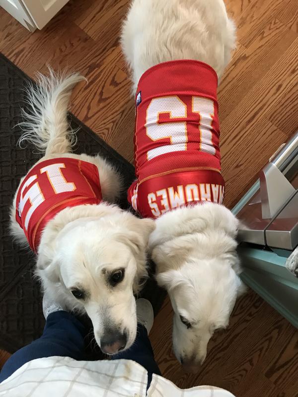 Dog chiefs jersey store mahomes