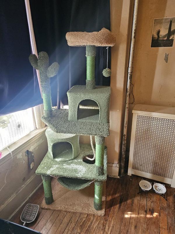 Adorable tree! Cats love it already