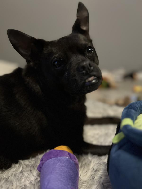 My little girl
