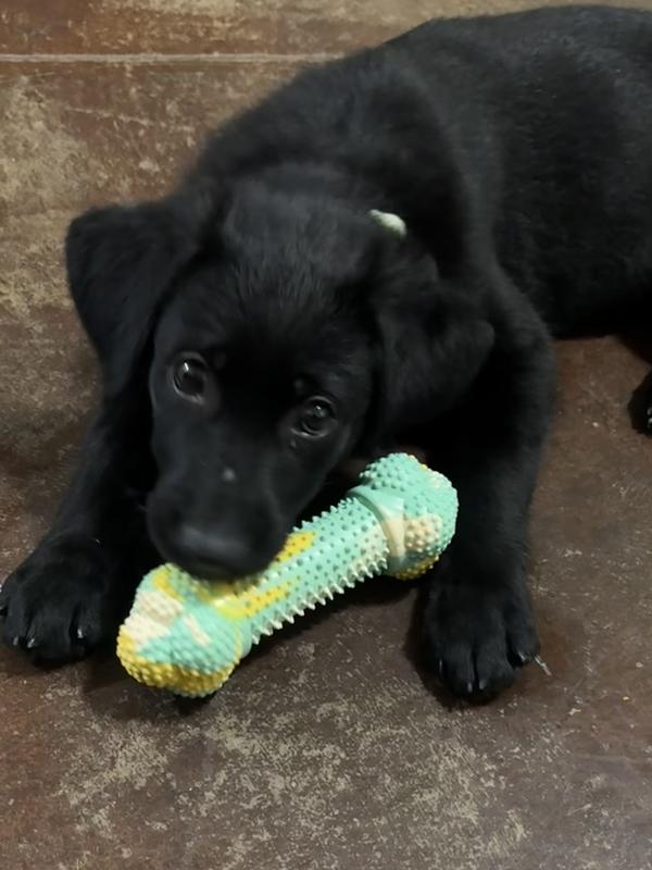 Teething toy worked pretty good