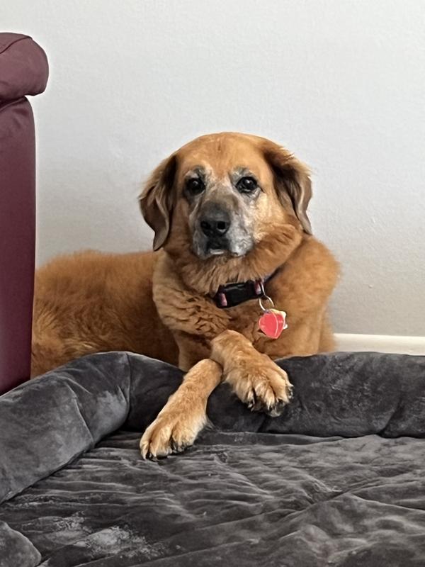 Gracie Mae!