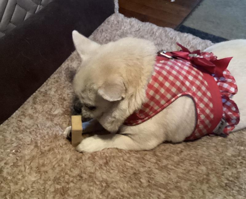 Natasha loves this Chew