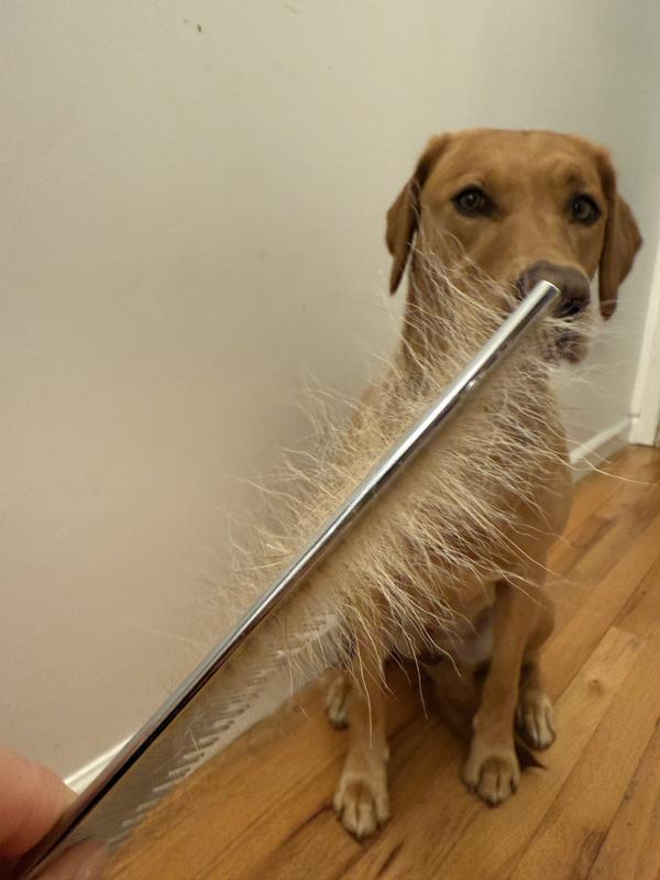 and great for my lab’s coat