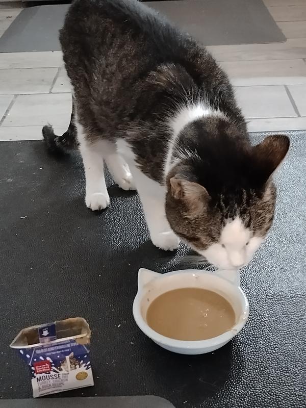 Eddie, eating your products day 4