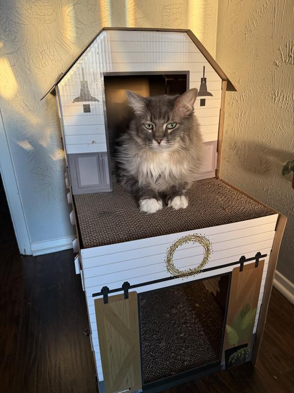 Jimbob loves it! It’s his first home purchase without a co-signer