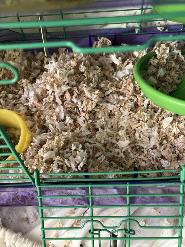 This is from my hamsters cage and he loves to burrow