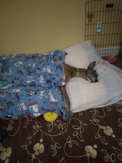 After breakfast Nap!