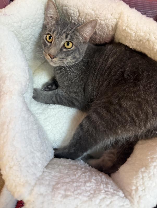 In the bed for 2 second then split