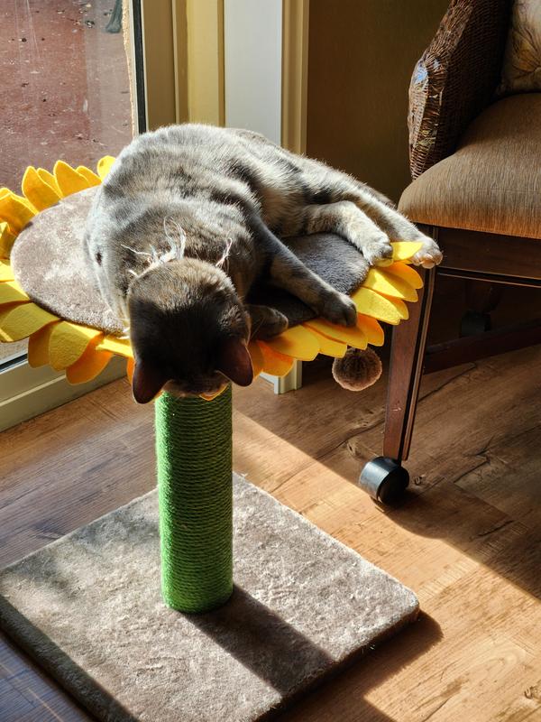 FRISCO Sunflower Cat Scratching Post, Single Post
