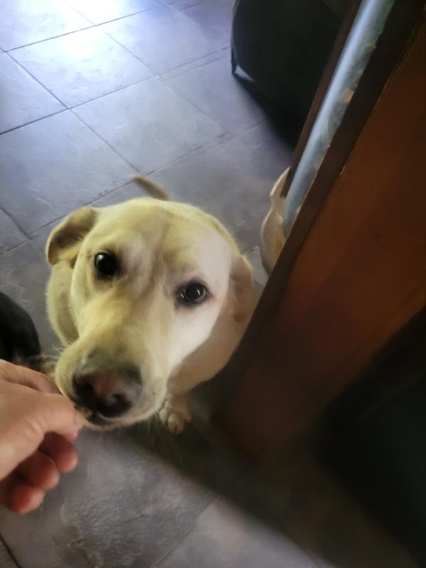 Would you let go please