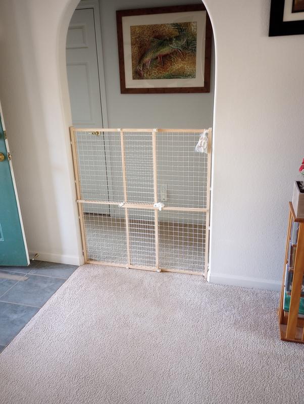 Perfect Solution to create coexistence.