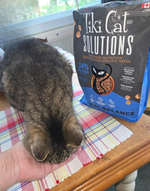 Handsome Pete enjoying Tiki Cat