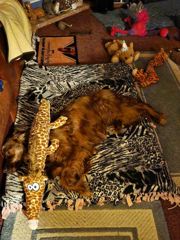 Played so much that she fell asleep!