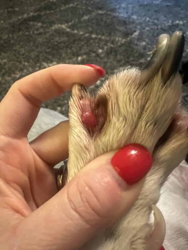 This formed 2 weeks ago.