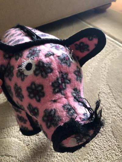 Tuffy's polly clearance pig dog toy