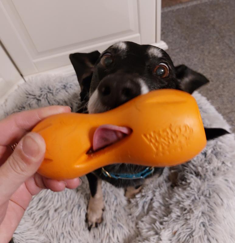 West Paw QWIZL® Tough Treat Toy